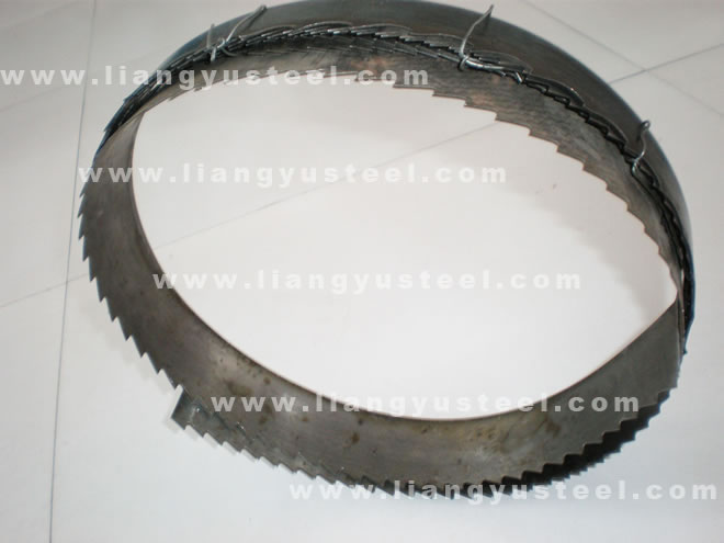 STEEL STRIP WITH TEETH