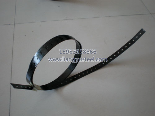 Liang Yu steel strip